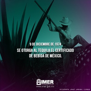 9_tequila